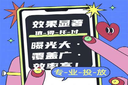 某电商平台信息流广告的精准推广策略